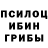 Псилоцибиновые грибы Cubensis MastrademuS