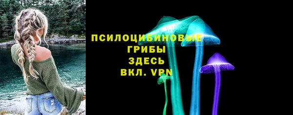 ПСИЛОЦИБИНОВЫЕ ГРИБЫ Бугульма