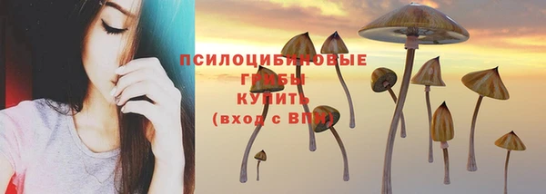 mdpv Бородино