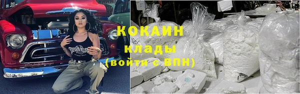 твердый Богданович