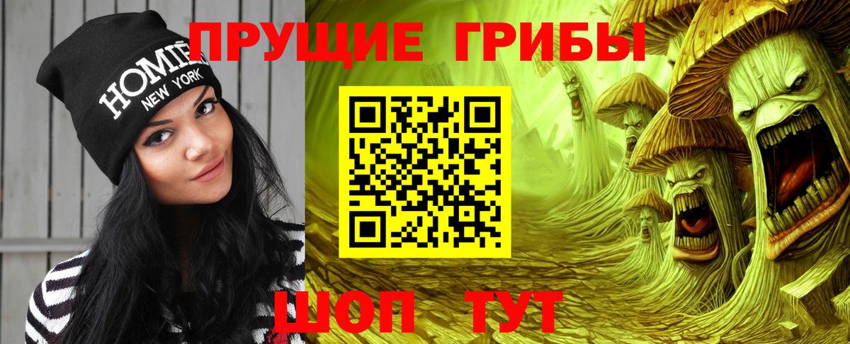 Псилоцибиновые грибы Psilocybe  Вход с VPN  Бузулук 